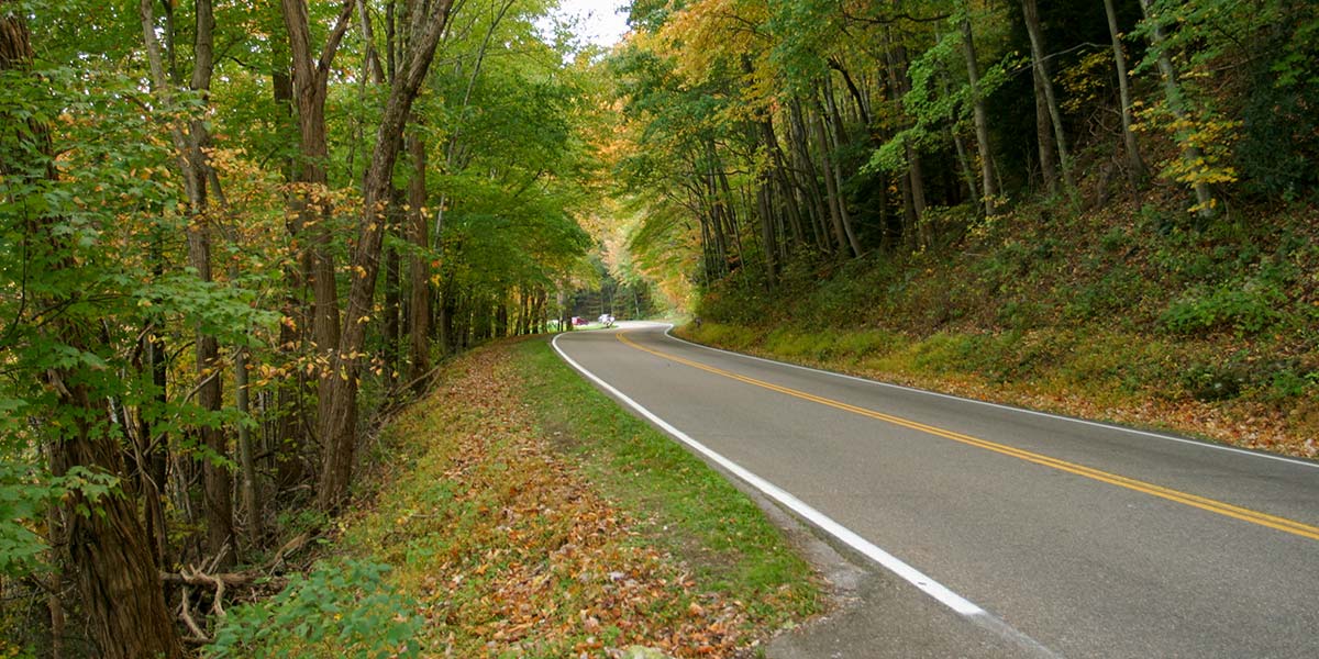 Cury Road in the Smoky Mountains