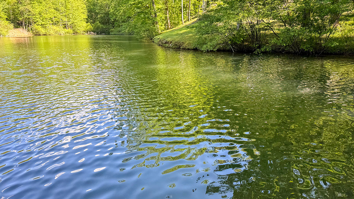 Lake Song Cabin image 50