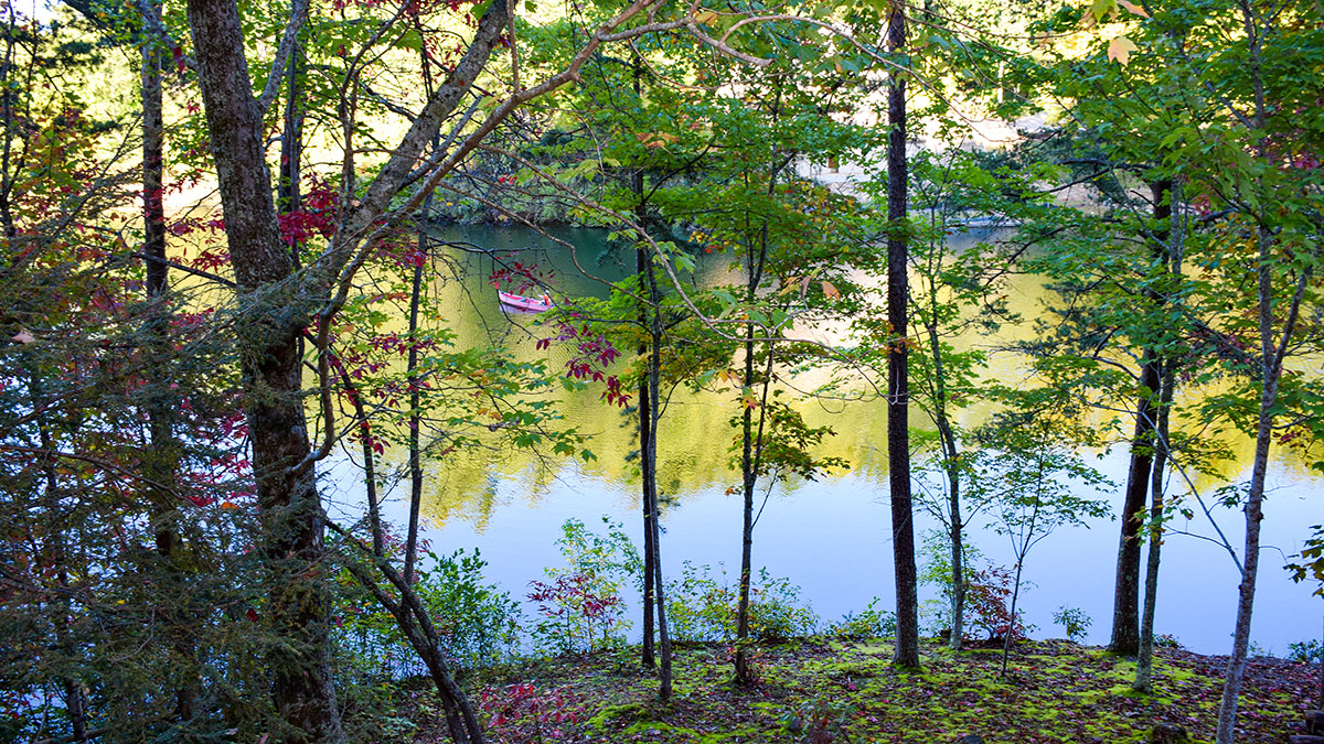 Lake Song Cabin image 55