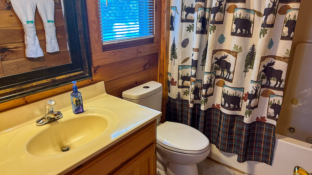 Mountain View Cabin image 15
